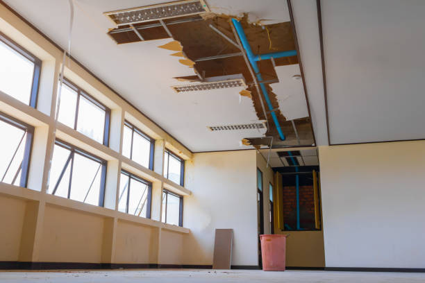 Best Flood restoration services  in Gladwin, MI