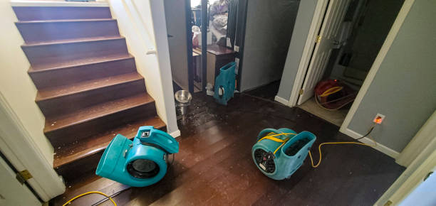 Best Flood damage cleanup  in Gladwin, MI