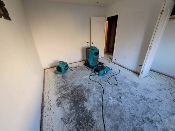 Best Water damage restoration near me  in Gladwin, MI