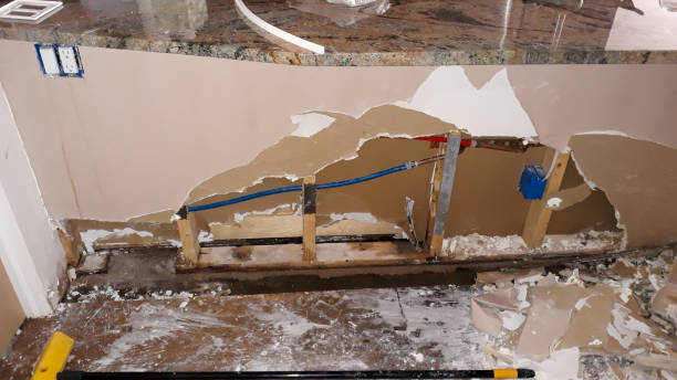 Best Basement water damage restoration  in Gladwin, MI