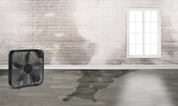 Gladwin, MI Water damage restoration Company