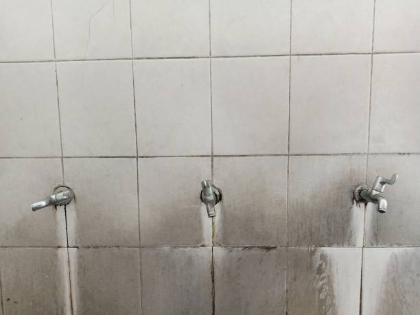 Best Flood restoration services  in Gladwin, MI