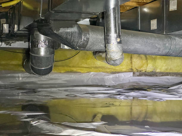 Best Flooded house restoration  in Gladwin, MI