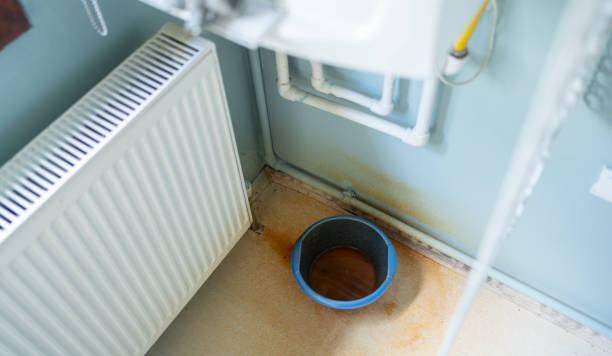 Best Emergency water extraction  in Gladwin, MI