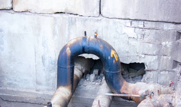 Best Carpet water damage restoration  in Gladwin, MI